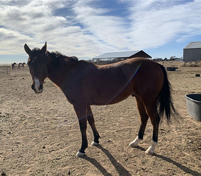 First slide